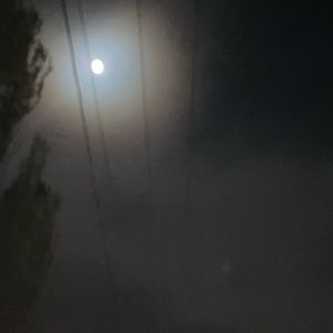 Meet your Posher, Jorja